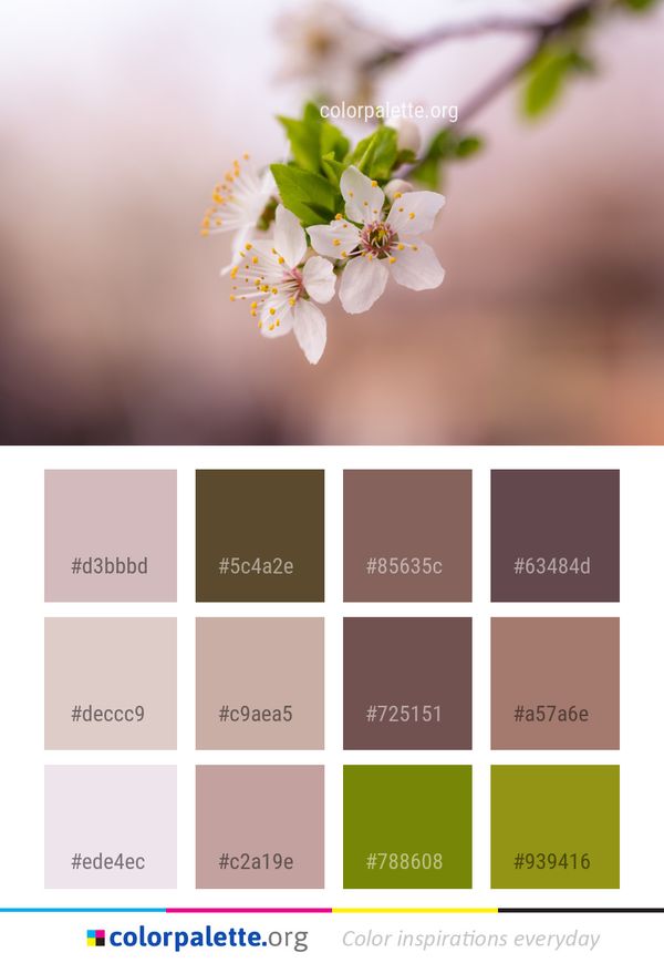 Flower Blossom Spring Color Palette