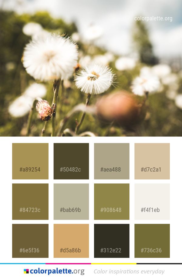 Flower Flora Spring Color Palette