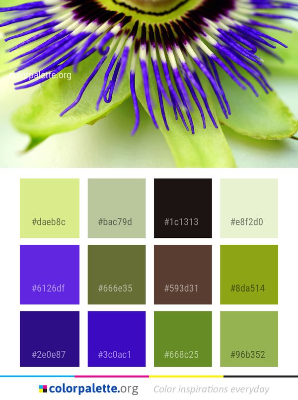 Flower Passion Family Color Palette