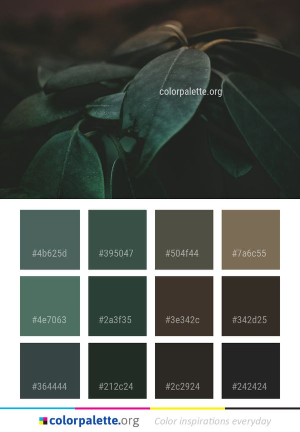 Leaf Green Darkness Color Palette