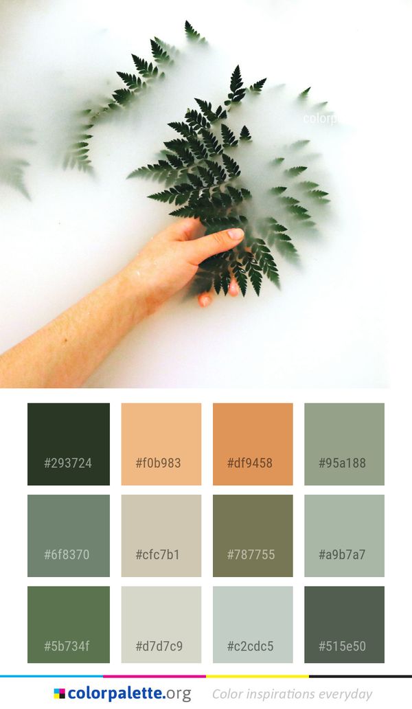 Leaf Plant Tree Color Palette