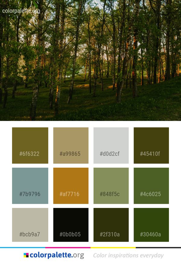 Nature Ecosystem Tree Color Palette