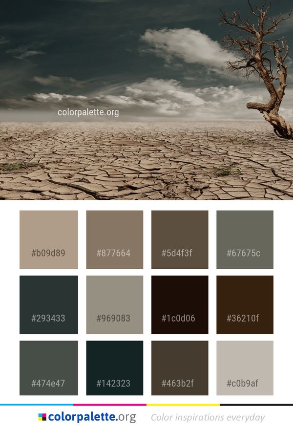 Sky Drought Cloud Color Palette