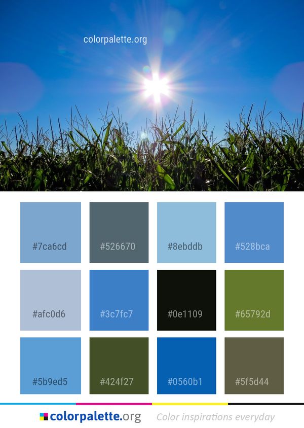 Sky Field Grass Color Palette