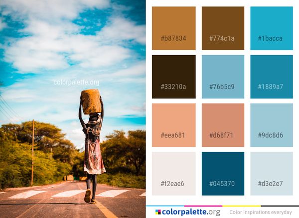 Sky Girl Photography Color Palette