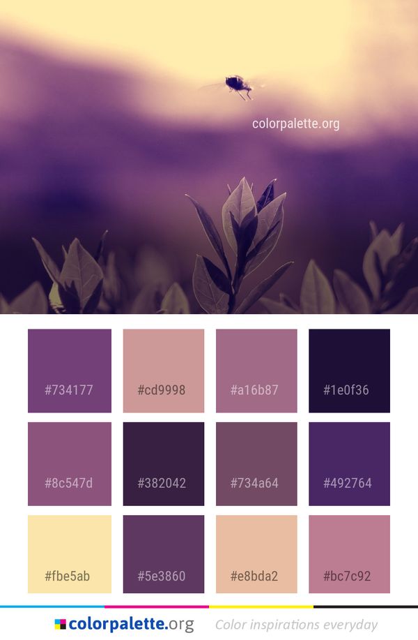 Sky Macro Photography Atmosphere Color Palette