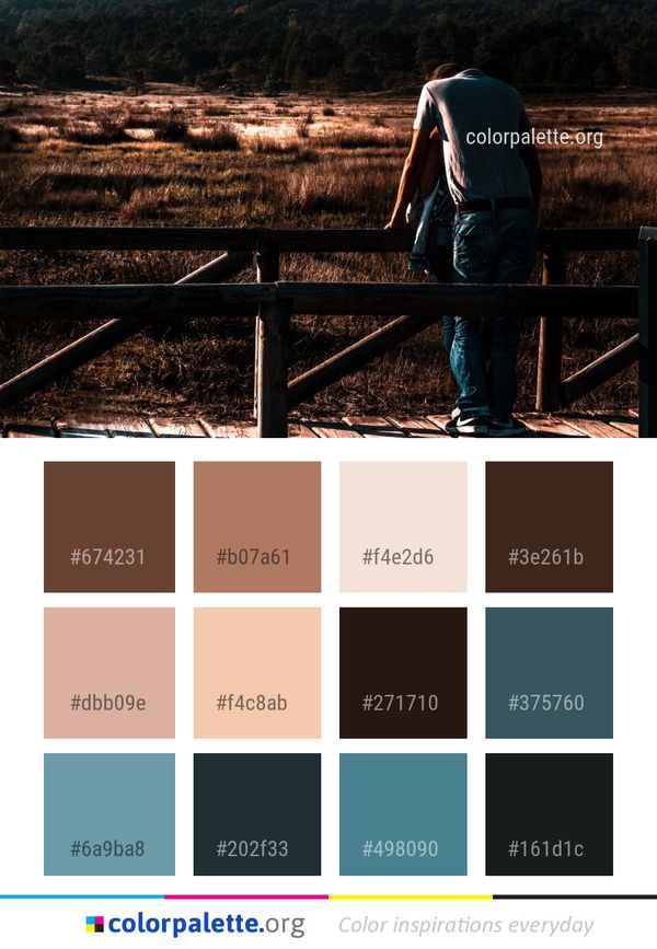 Sky Photography Tree Color Palette