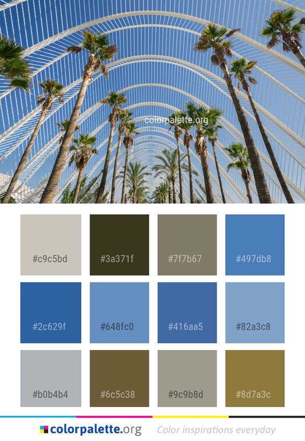 Sky Tree Palm Color Palette