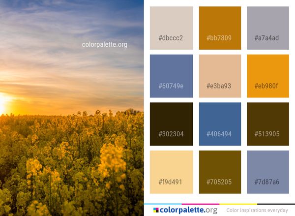 Sky Yellow Rapeseed Color Palette