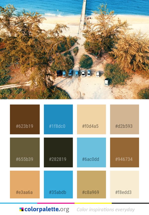 Tree Water Sea Color Palette