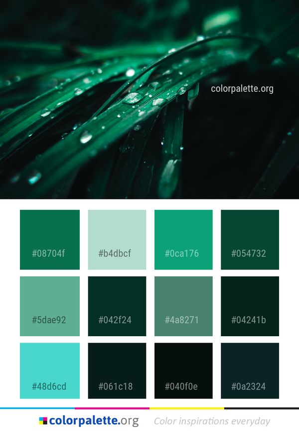 Water Green Moisture Color Palette