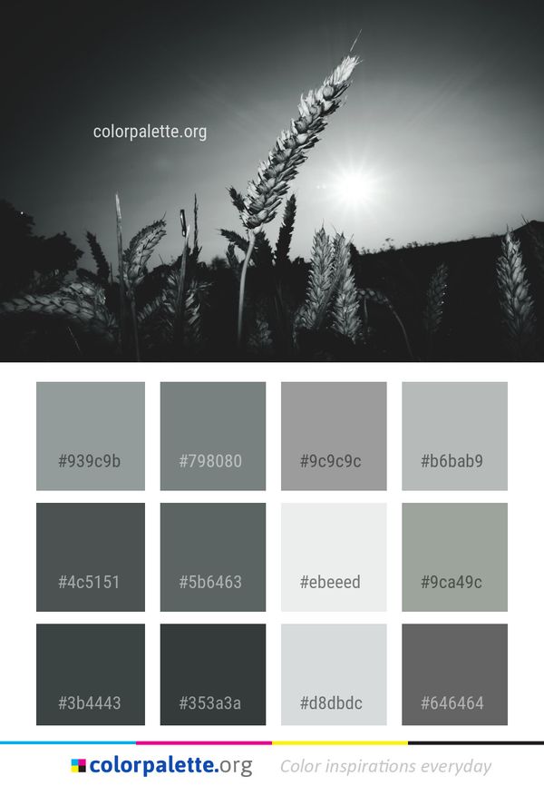 Black And White Nature Color Palette