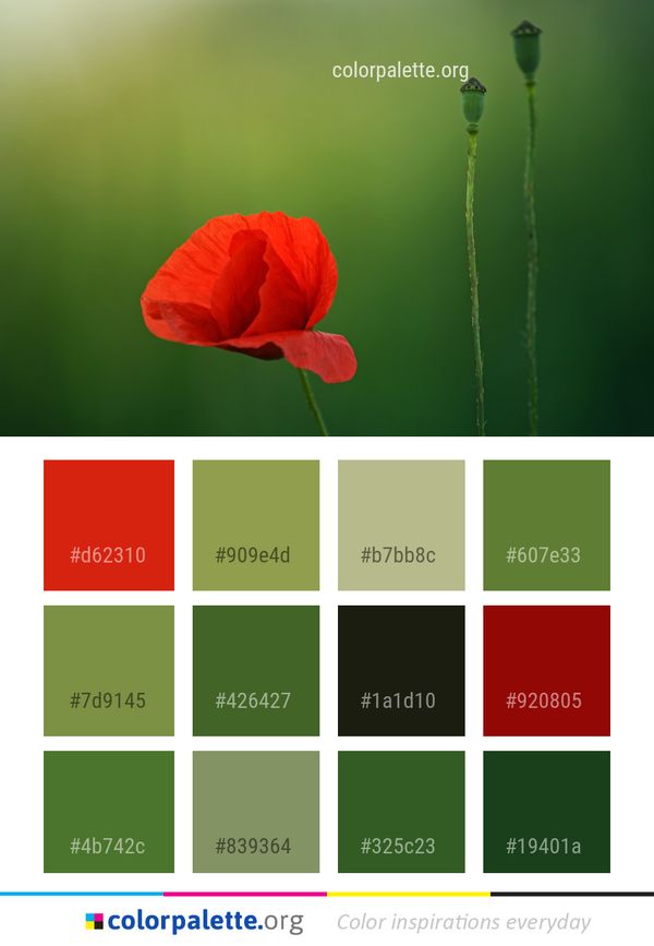 Flower Red Green Color Palette