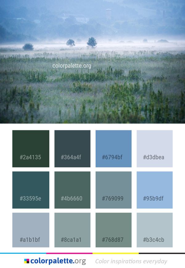 Mist Ecosystem Grassland Color Palette