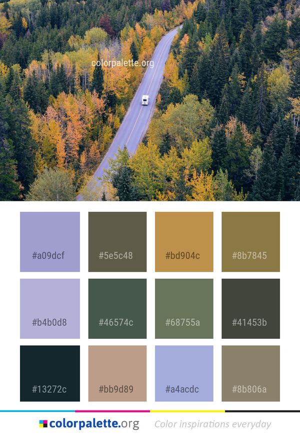 Nature Leaf Ecosystem Color Palette