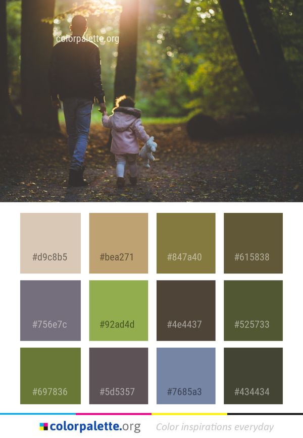 Photograph Nature Mammal Color Palette