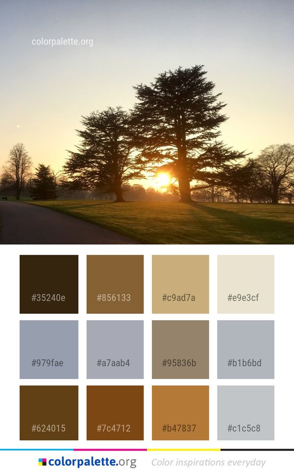 Sky Tree Nature Color Palette
