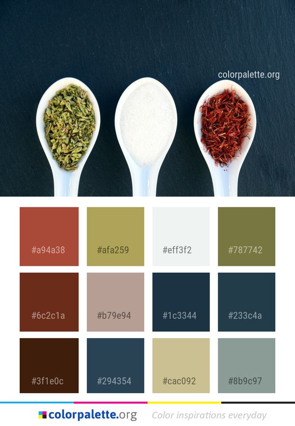 Superfood Spice Ingredient Color Palette