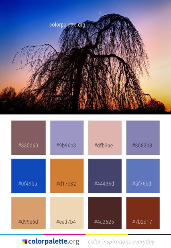 Tree Sky Woody Plant Color Palette