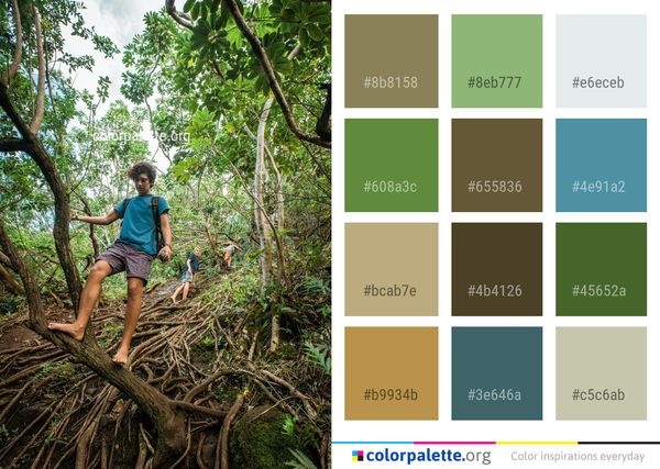 Tree Vegetation Nature Reserve Color Palette
