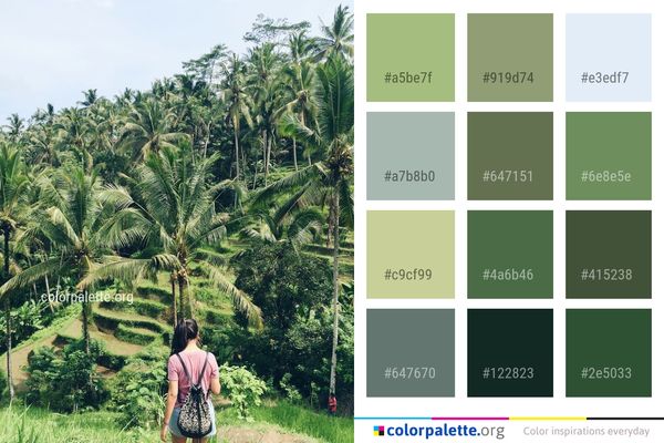 Vegetation Tree Plant Color Palette