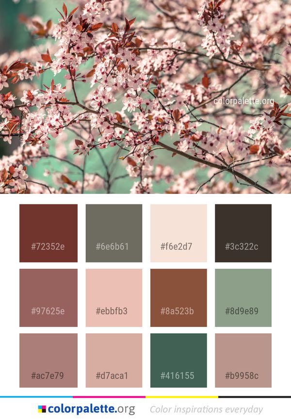Blossom Pink Branch Color Palette