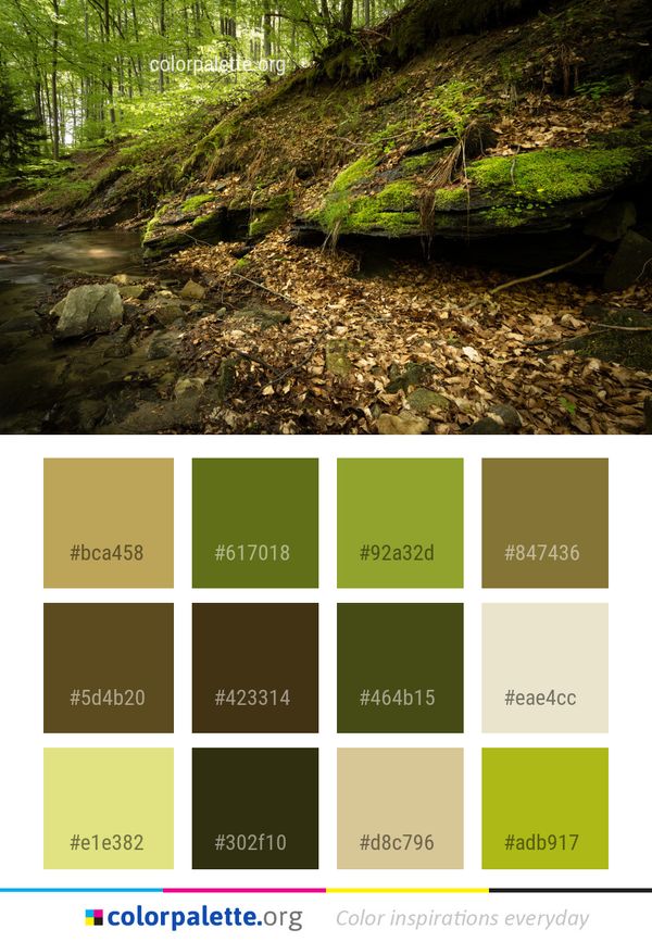 Nature Water Vegetation Color Palette