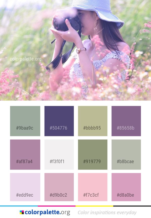 Pink Flower Photograph Color Palette
