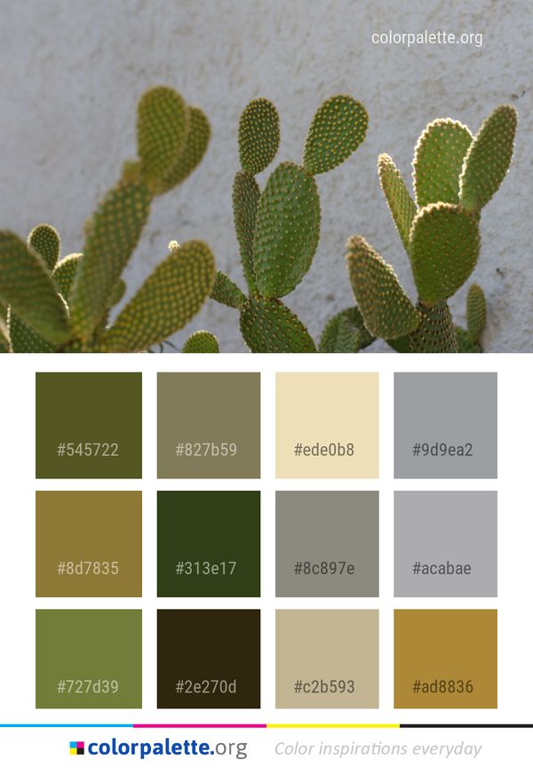 Plant Cactus Barbary Fig Color Palette