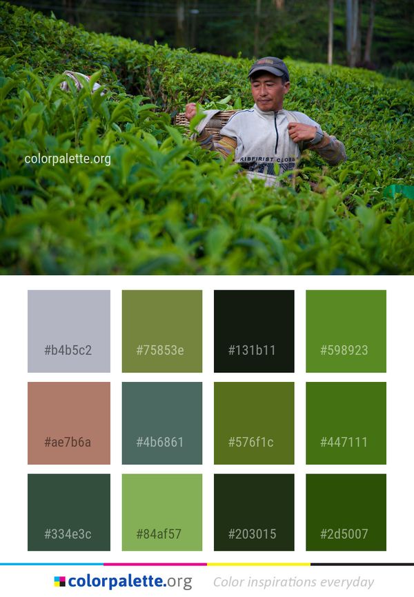 Plant Nature Green Color Palette