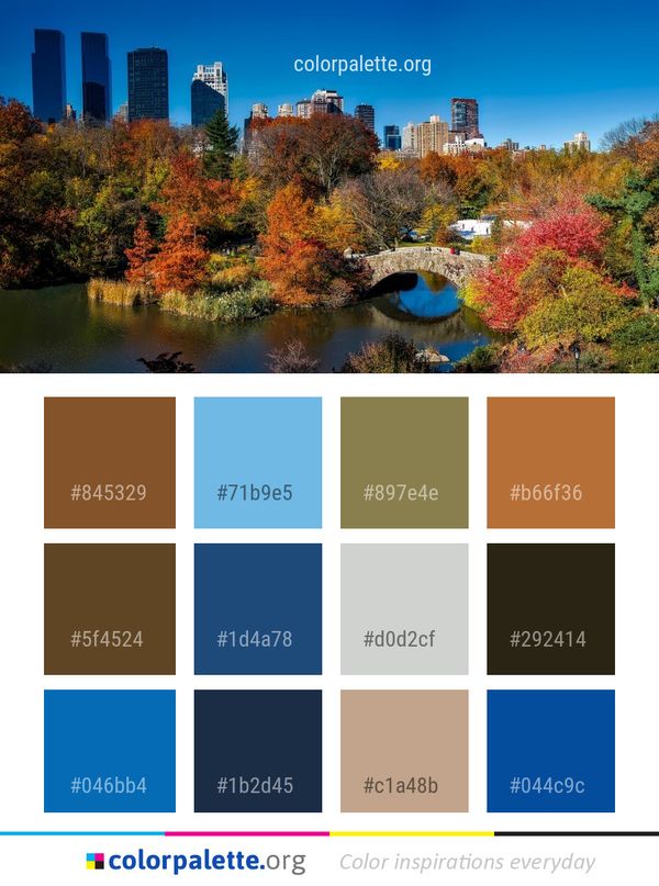 Reflection Nature Leaf Color Palette