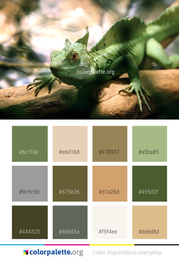 Reptile Scaled Fauna Color Palette