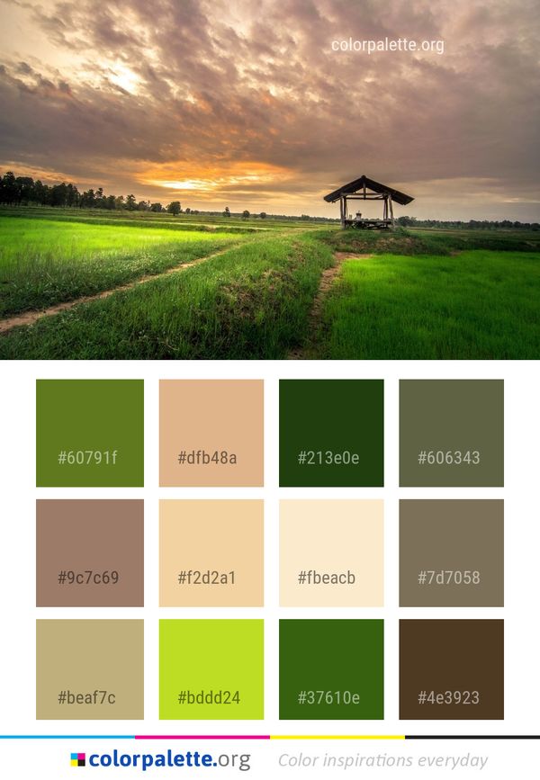 Sky Nature Grassland Color Palette