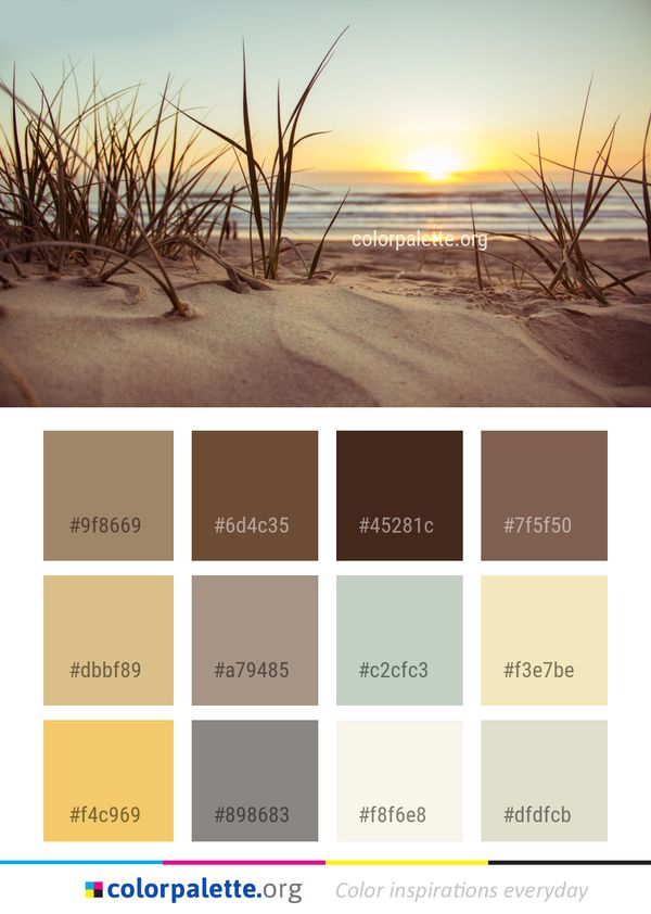 Sky Sea Shore Color Palette
