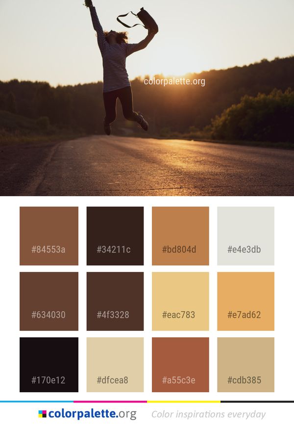 Sky Sunlight Morning Color Palette