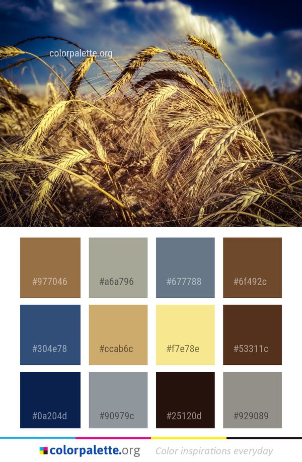 Sky Wheat Yellow Color Palette
