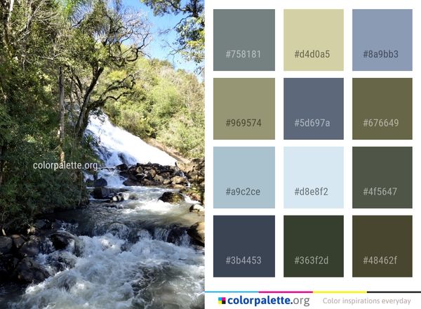 Water Stream Watercourse Color Palette