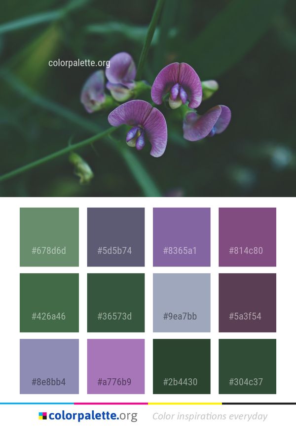 Flora Flower Plant Color Palette