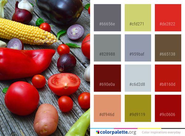 Natural Foods Vegetable Local Food Color Palette