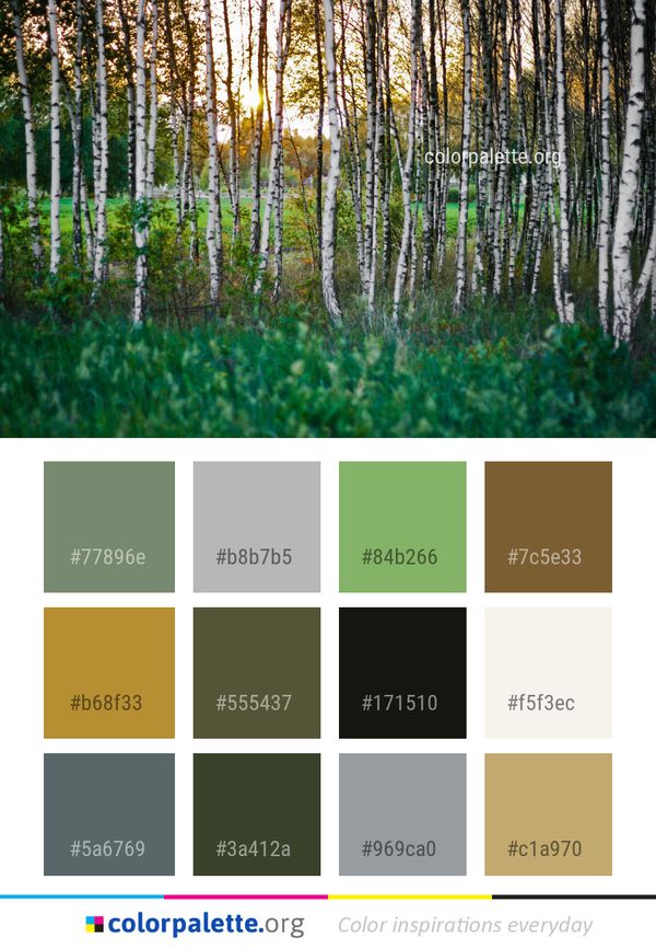 Nature Ecosystem Tree Color Palette