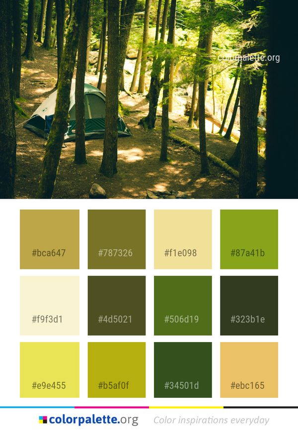 Nature Green Woodland Color Palette
