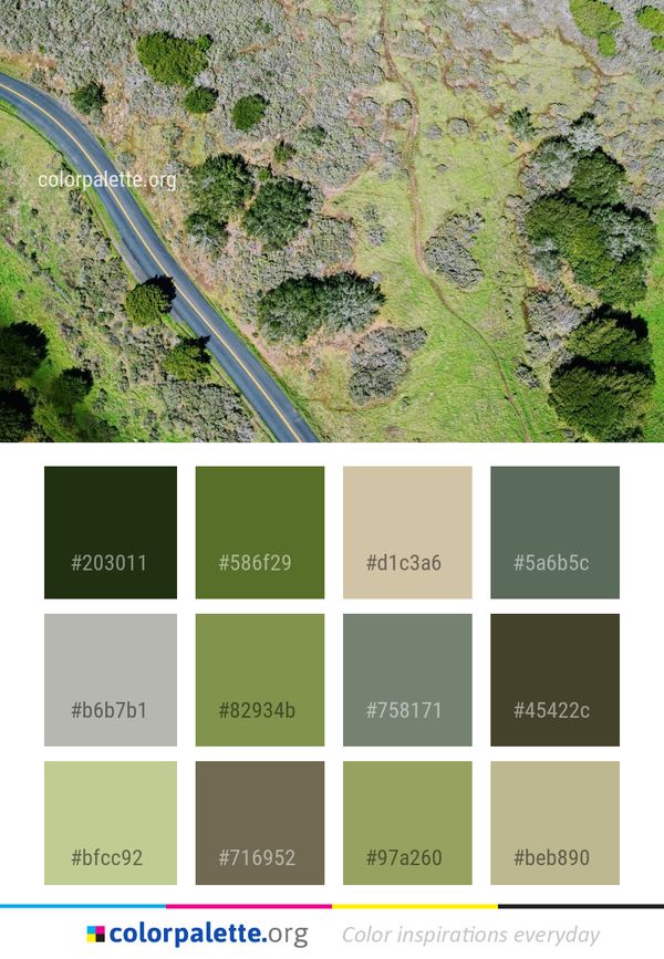 Nature Reserve Aerial Photography Tree Color Palette