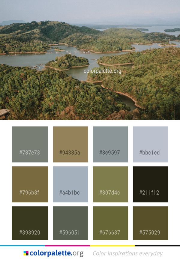 Nature Reserve Vegetation Water Resources Color Palette