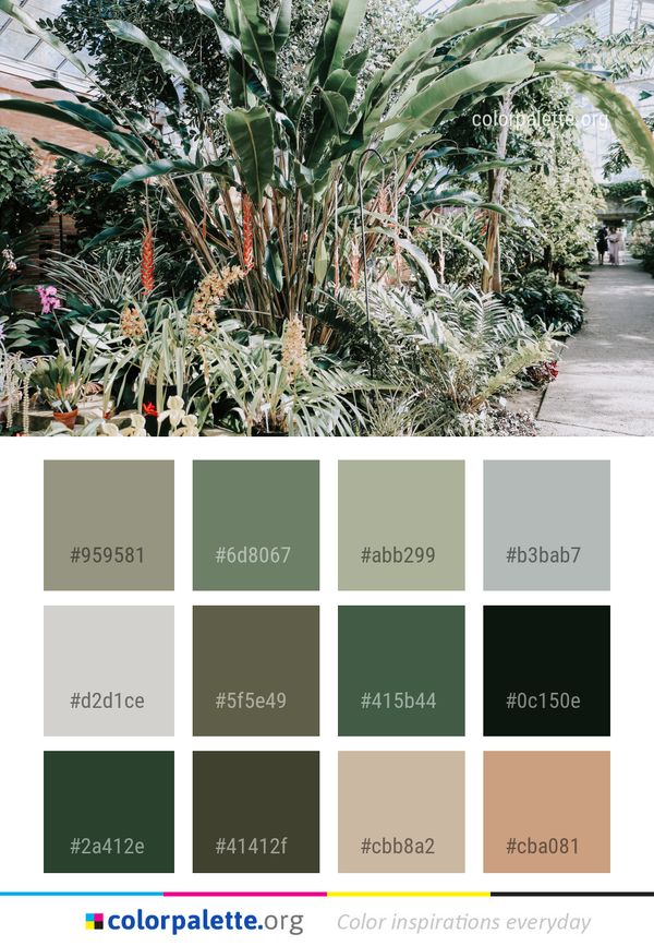 Plant Flora Tree Color Palette