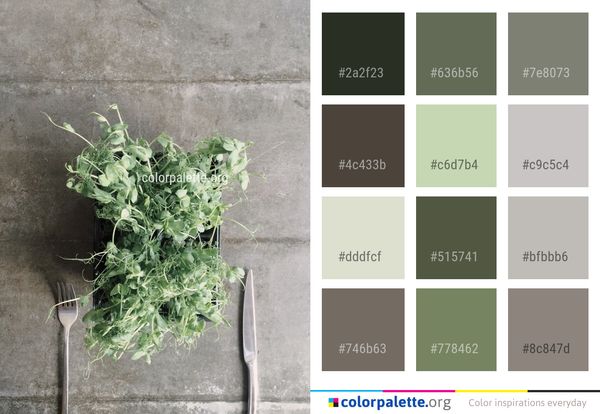 Plant Leaf Herb Color Palette