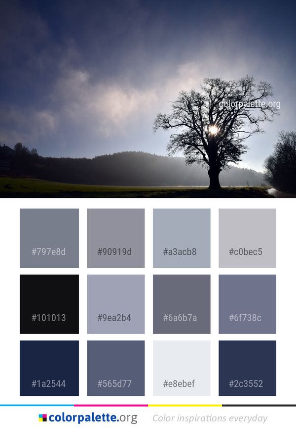 Sky Tree Nature Color Palette