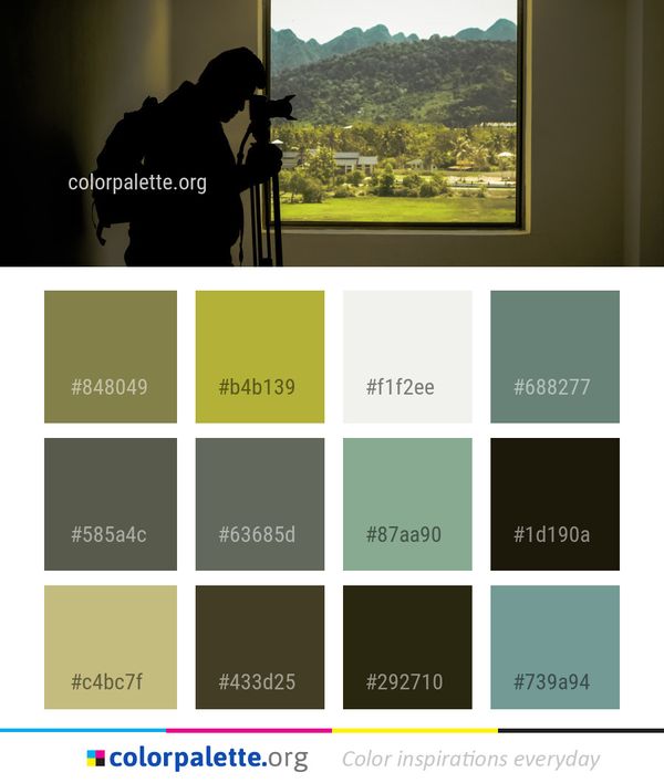 Sky Tree Window Color Palette