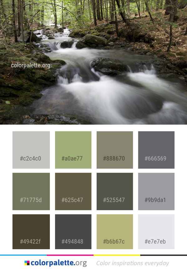Water Stream Nature Color Palette