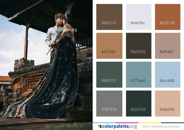 Dress Fashion Costume Color Palette