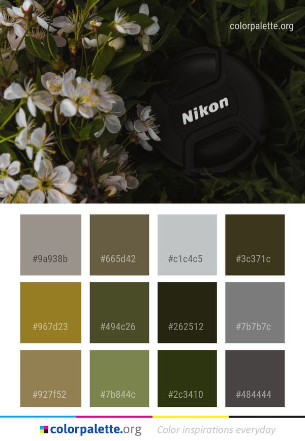 Flora Flower Plant Color Palette